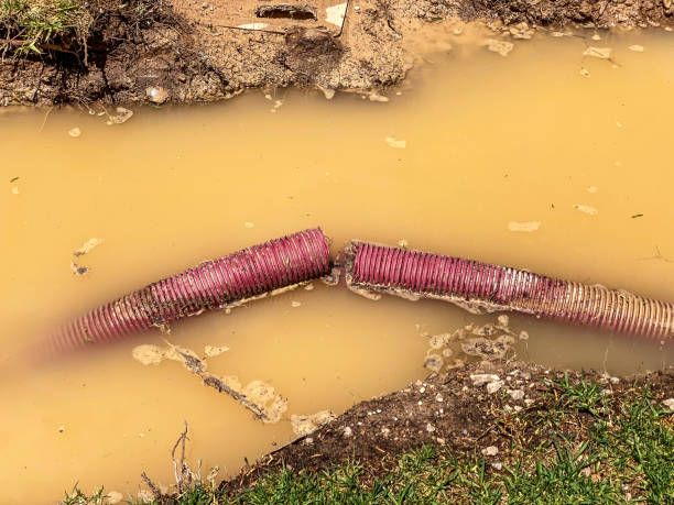 Best 24/7 water damage repair  in Intercourse, PA